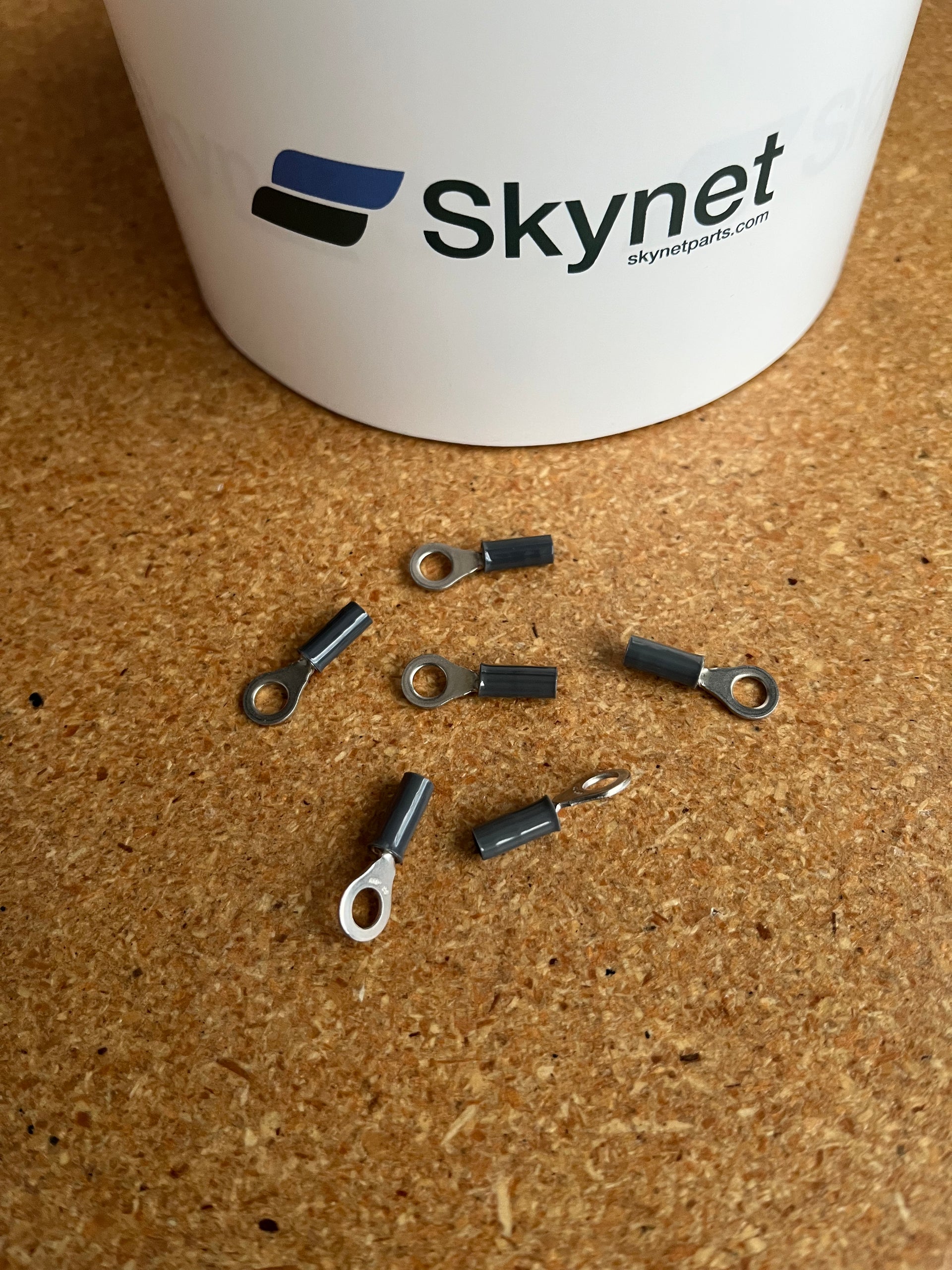 3040409 – Skynet International Inc